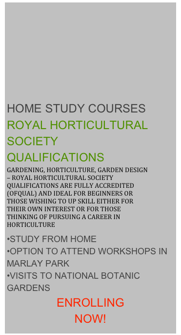 








HOME STUDY COURSES
ROYAL HORTICULTURAL SOCIETY 
QUALIFICATIONS
GARDENING, HORTICULTURE, GARDEN DESIGN – ROYAL HORTICULTURAL SOCIETY QUALIFICATIONS ARE FULLY ACCREDITED (OFQUAL) AND IDEAL FOR BEGINNERS OR THOSE WISHING TO UP SKILL EITHER FOR THEIR OWN INTEREST OR FOR THOSE THINKING OF PURSUING A CAREER IN HORTICULTURE
STUDY FROM HOME
OPTION TO ATTEND WORKSHOPS IN MARLAY PARK
VISITS TO NATIONAL BOTANIC GARDENS
ENROLLING 
NOW!